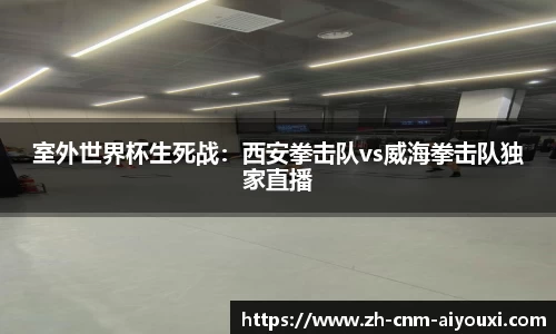 室外世界杯生死战：西安拳击队vs威海拳击队独家直播